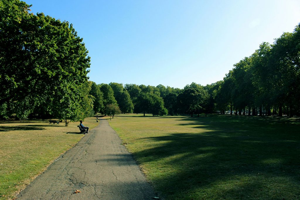 Panoramic view of a lush green golf course at Apple Orchard Golf Course. Smooth