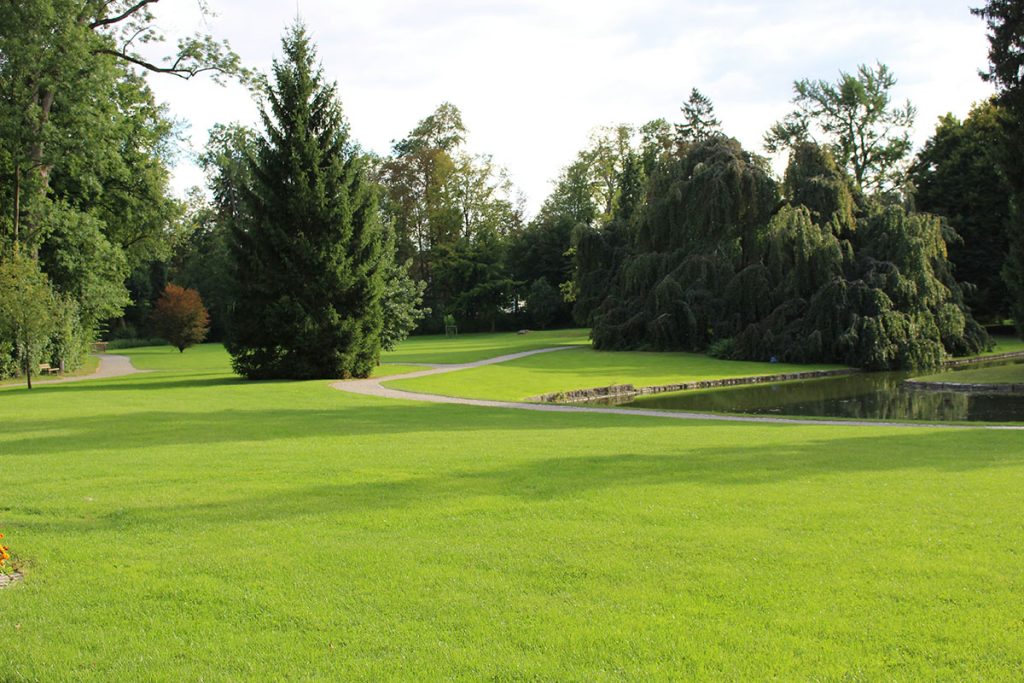Panoramic view of a lush green golf course at Bolingbrook Golf Club. Smooth