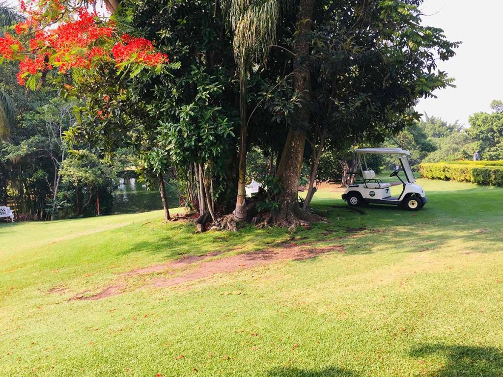 Panoramic view of a lush green golf course at Caney Golf Club. Smooth