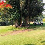 Panoramic view of a lush green golf course at Caney Golf Club. Smooth