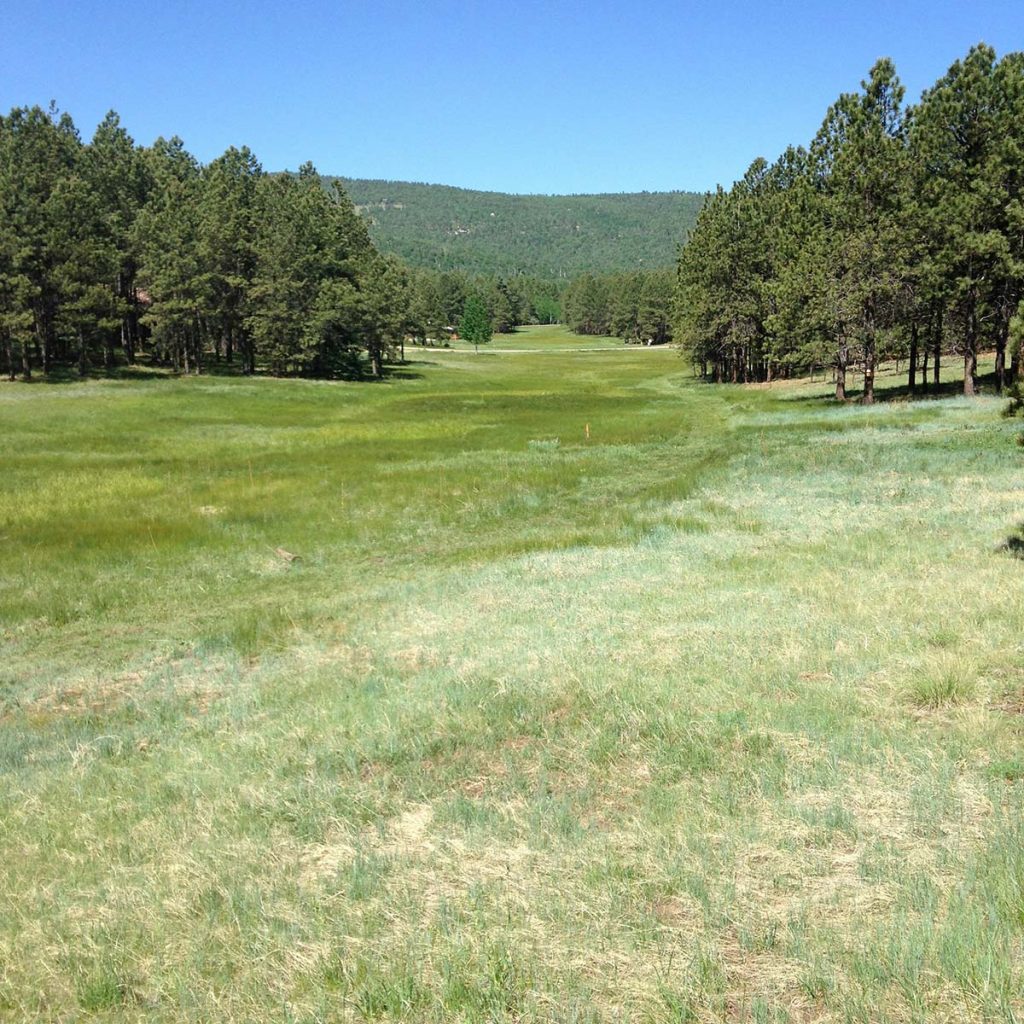 Panoramic view of a lush green golf course at Conway Country Club. Smooth