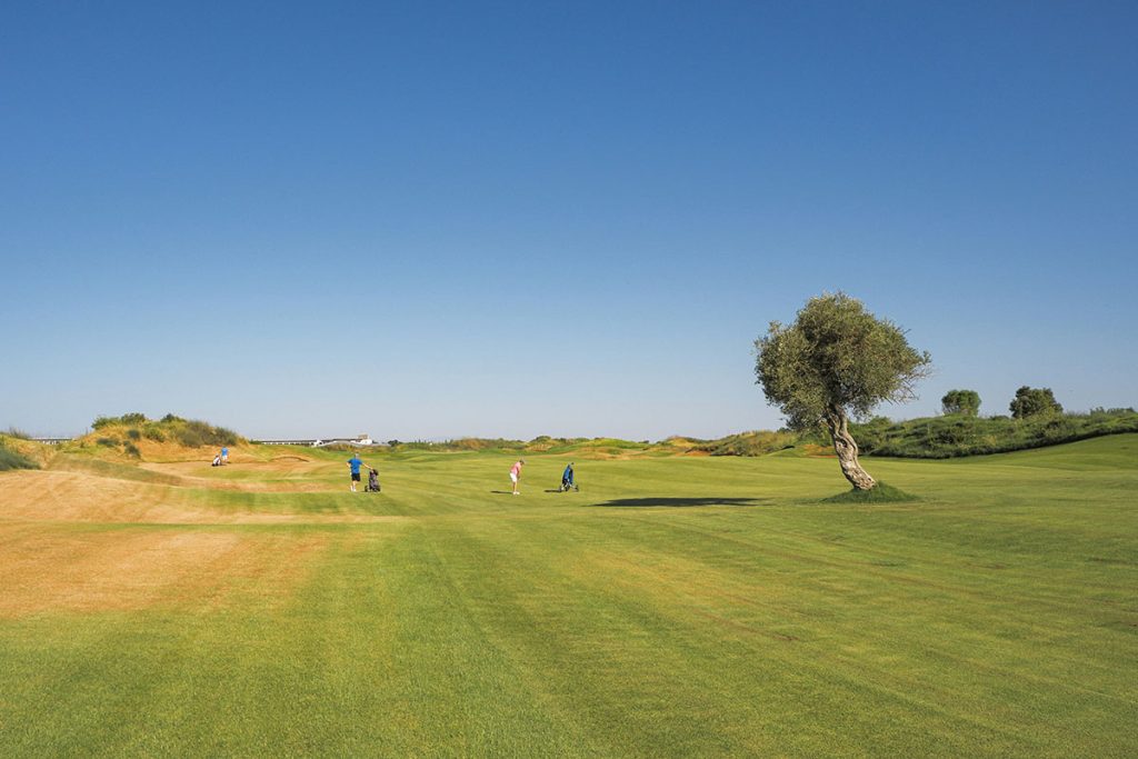 Panoramic view of a lush green golf course at Gray Plantation. Smooth