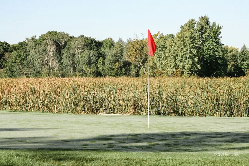 Panoramic view of a lush green golf course at Orchard Valley Golf Course & Banquet Hall. Smooth