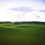 Panoramic view of a lush green golf course at RiverPines Golf. Smooth