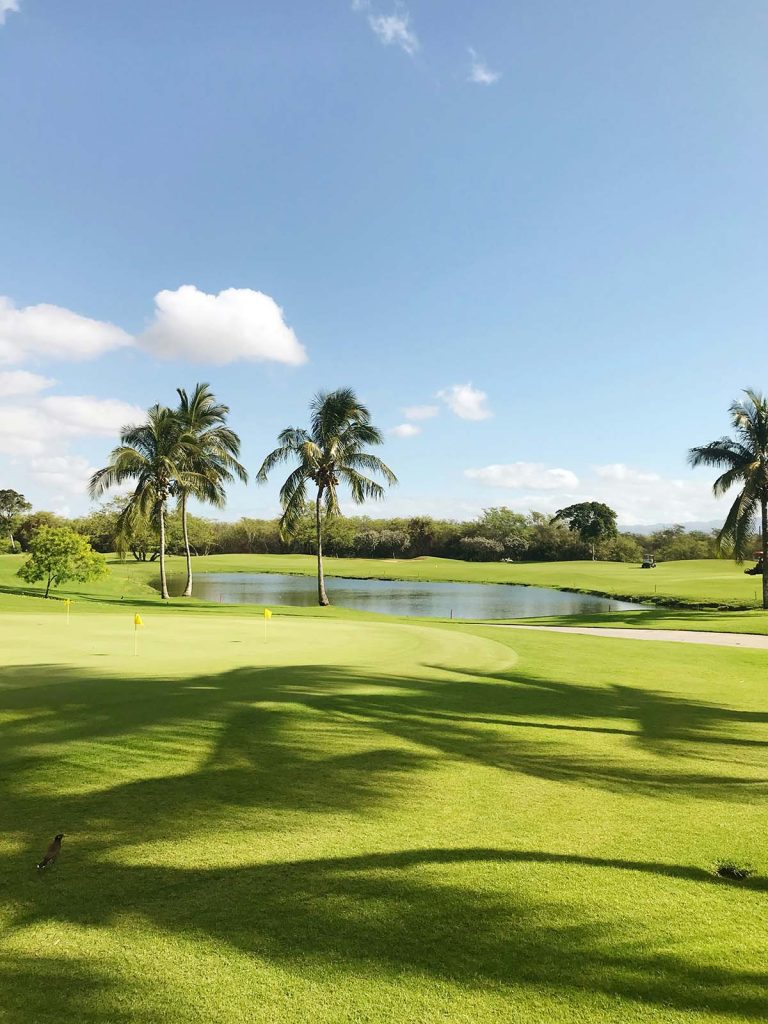 Panoramic view of a lush green golf course at Talons Of Tuscany Golf Club. Smooth