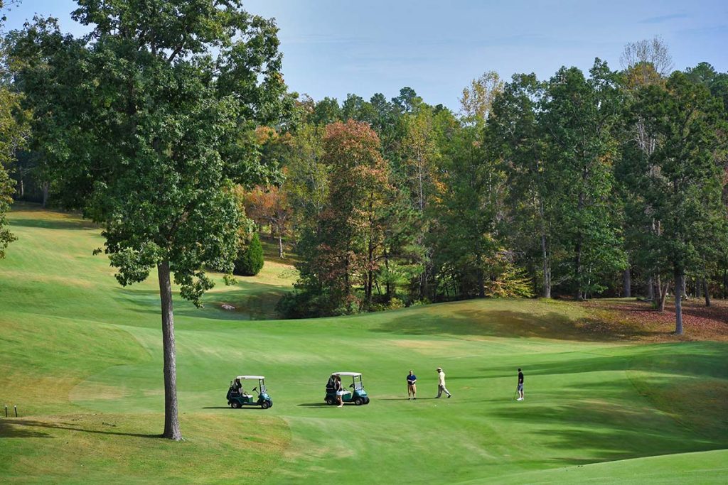Panoramic view of a lush green golf course at The Bridges At Tartan Pines | Golf Courses Enterprise Alabama. Smooth