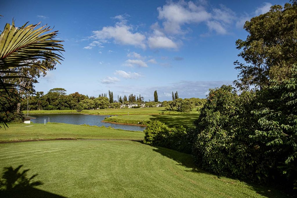 Panoramic view of a lush green golf course at Wellman Golf Course. Smooth