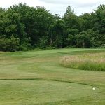 green grass with the flag in the hole.