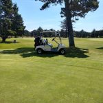 green grass with the flag in the hole.