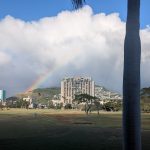 green grass with the flag in the hole.
