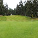 green grass with the flag in the hole.