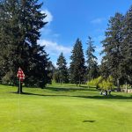 green grass with the flag in the hole.