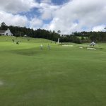 green grass with the flag in the hole.
