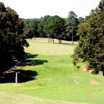 Panoramic view of a lush green golf course at Alpine Bay Golf Club. Smooth