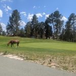 Panoramic view of a lush green golf course at Alto Lakes Golf & Country Club. Smooth