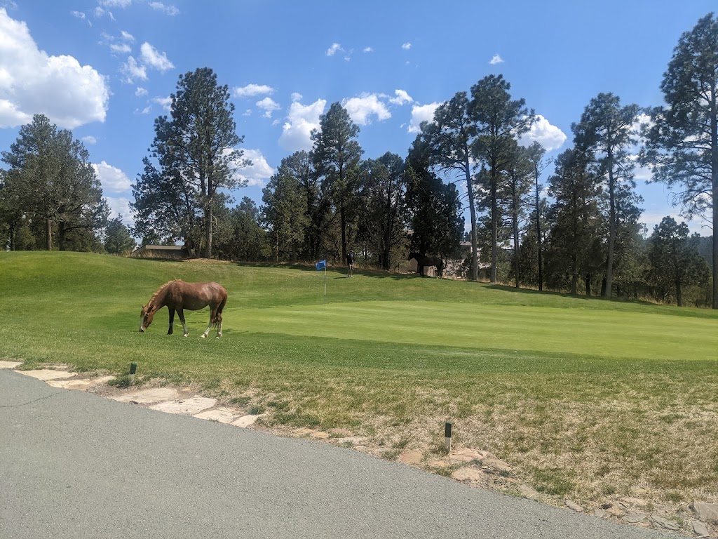 Panoramic view of a lush green golf course at Alto Lakes Golf & Country Club. Smooth