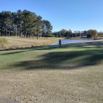 green grass with the flag in the hole.
