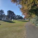 Panoramic view of a lush green golf course at Amelia Golf & Country Club. Smooth