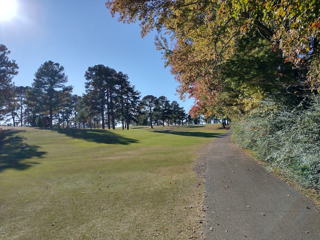 Panoramic view of a lush green golf course at Amelia Golf & Country Club. Smooth