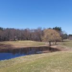 Panoramic view of a lush green golf course at Amherst Country Club. Smooth