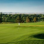 green grass with the flag in the hole.
