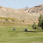 green grass with the flag in the hole.