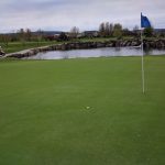 green grass with the flag in the hole.