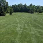Panoramic view of a lush green golf course at Arbor Trace Golf Club. Smooth