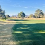 green grass with the flag in the hole.