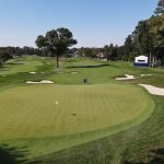 green grass with the flag in the hole.