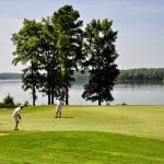 green grass with the flag in the hole.