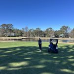 green grass with the flag in the hole.
