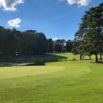 green grass with the flag in the hole.