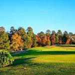 Panoramic view of a lush green golf course at Augusta Pines Golf Club. Smooth