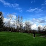 green grass with the flag in the hole.