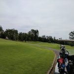 green grass with the flag in the hole.