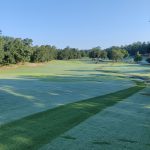 Panoramic view of a lush green golf course at Balboa Golf Course. Smooth