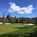 green grass with the flag in the hole.