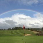 green grass with the flag in the hole.