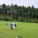 green grass with the flag in the hole.