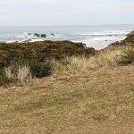 Panoramic view of a lush green golf course at Bandon Dunes Golf Resort - Old Macdonald Golf Course. Smooth