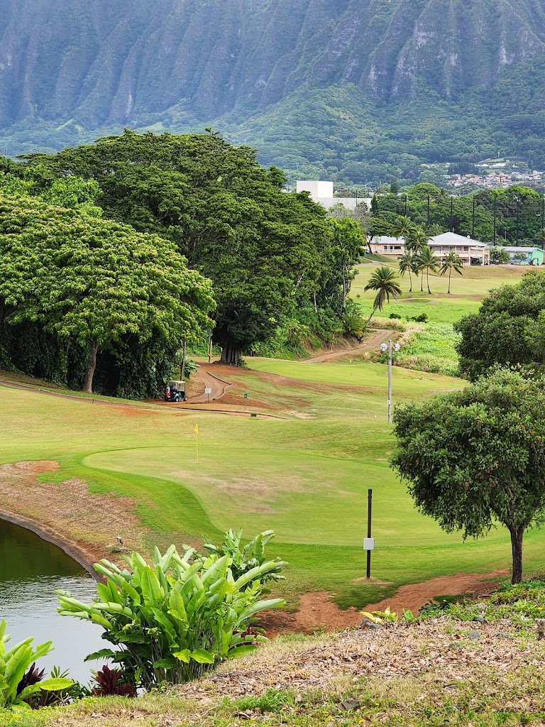 Panoramic view of a lush green golf course at Bayview Driving Range. Smooth