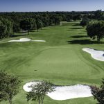 green grass with the flag in the hole.