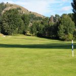 green grass with the flag in the hole.