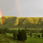 Panoramic view of a lush green golf course at Bear Creek Golf Course. Smooth