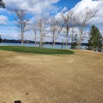 green grass with the flag in the hole.