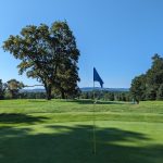 green grass with the flag in the hole.