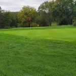 green grass with the flag in the hole.