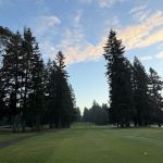 green grass with the flag in the hole.