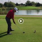 green grass with the flag in the hole.